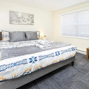 Pet-friendly Studio Unit In Chinatown Apartment